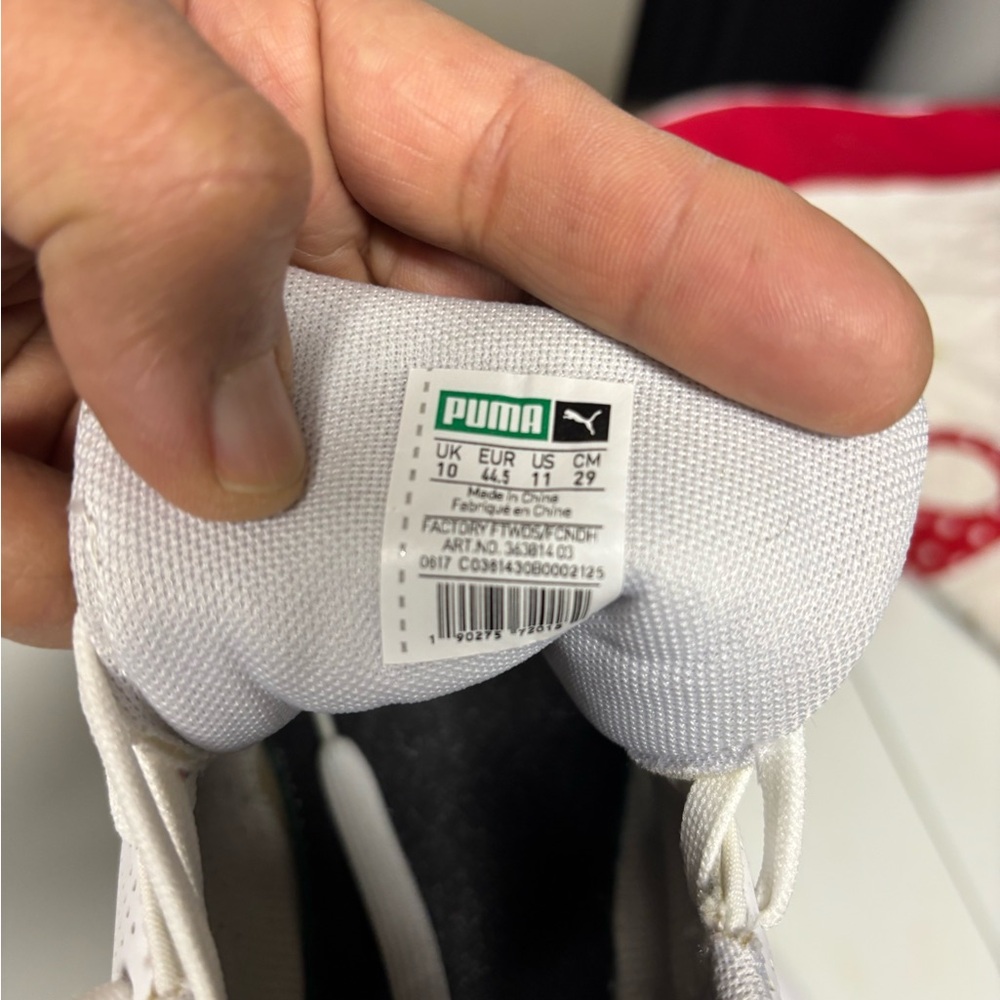 Puma